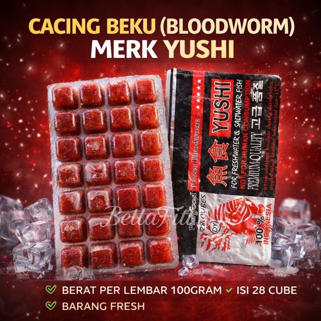 cacing beku bloodworm yushi