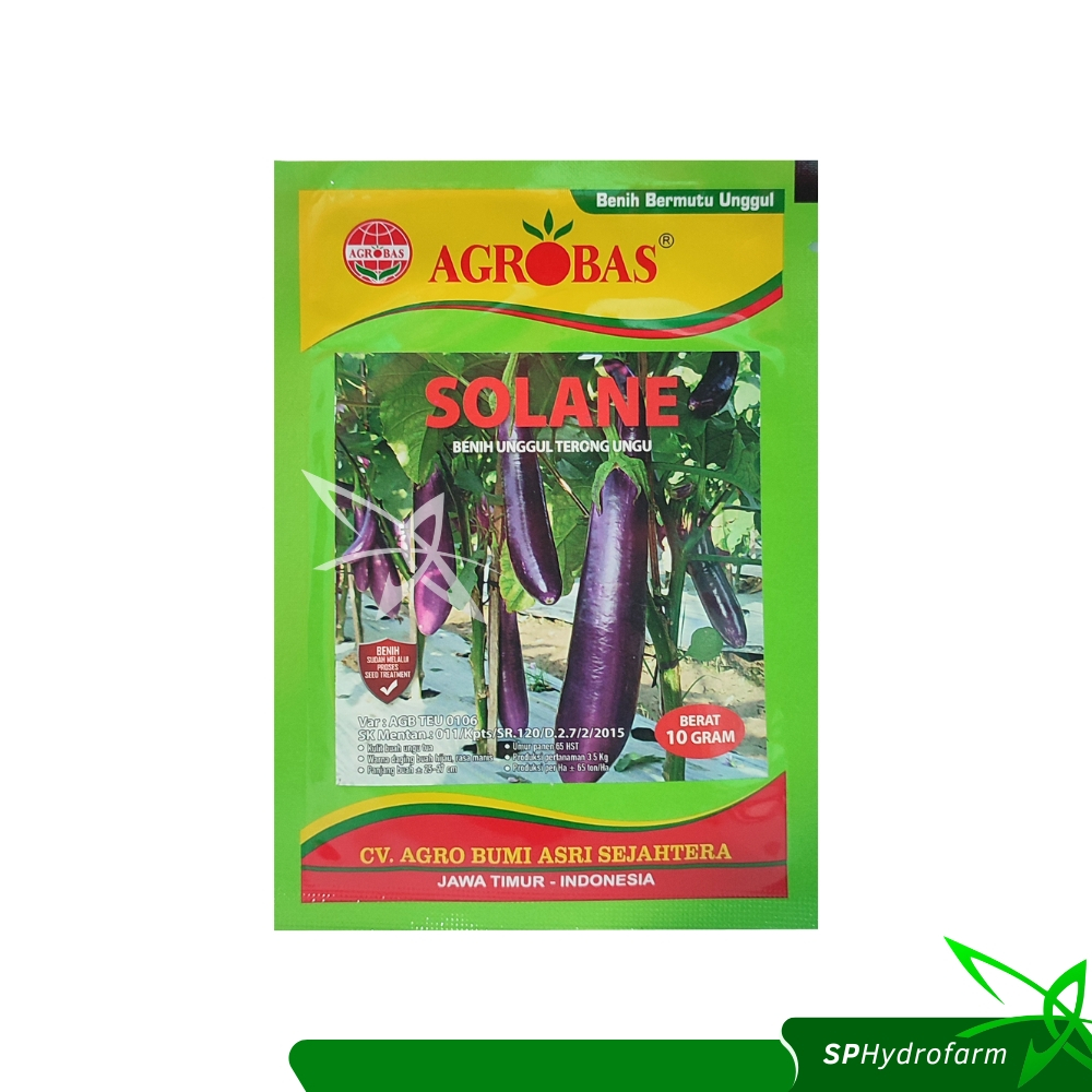 AGROBAS Benih Unggul Terong Ungu SOLANE 10 gram