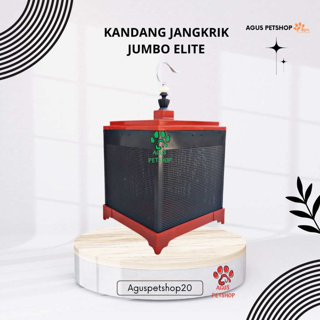 Kandang Jangkrik Jumbo Elite Song