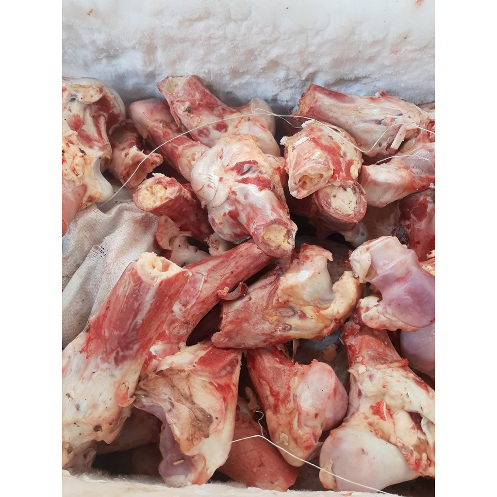 BALUNG / SUMSUM SAPI