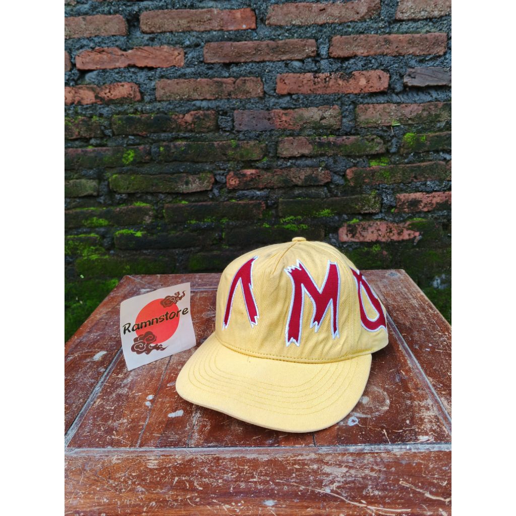 topi i am not a human being