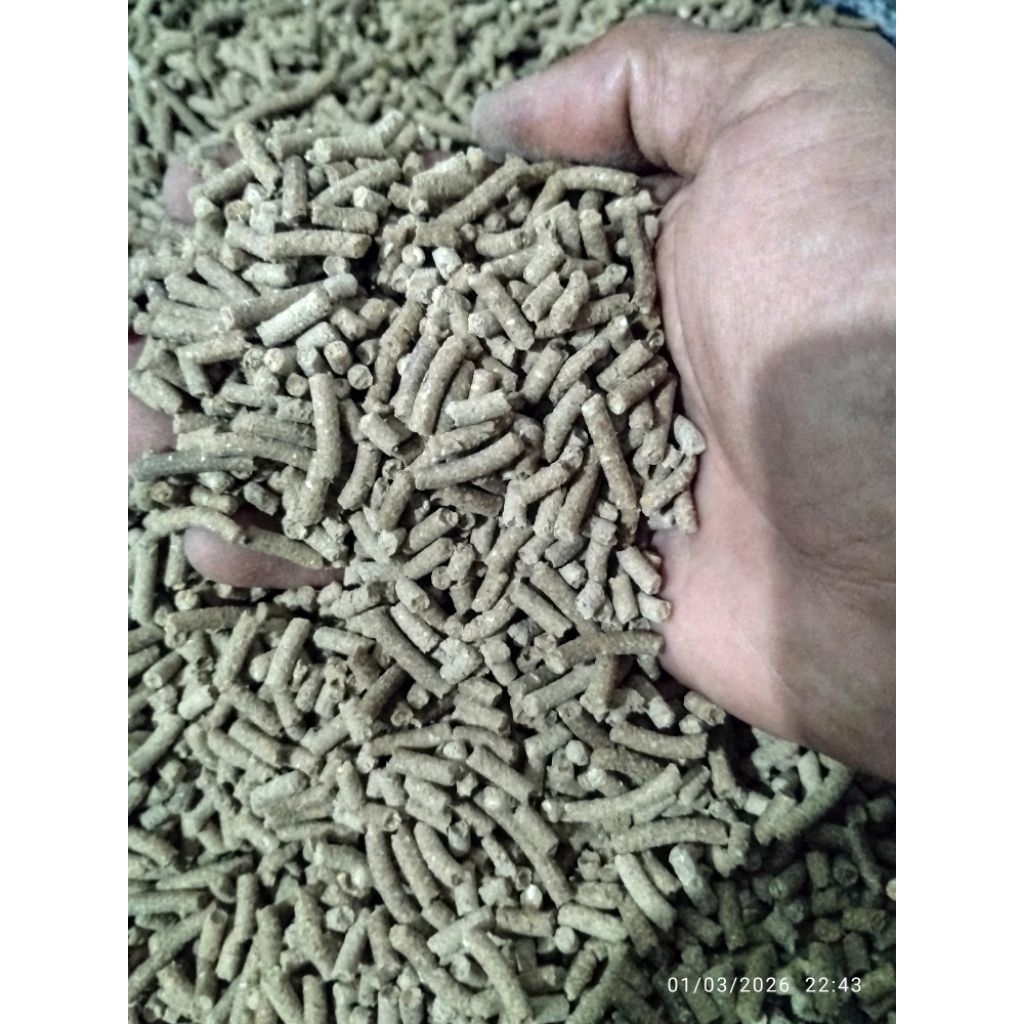 pakan voer racikan ayam bebek petelur