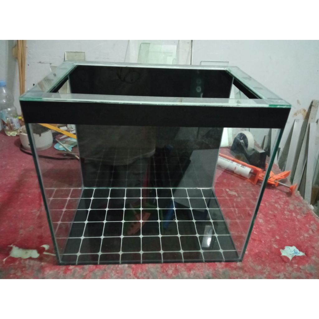 aquarium minimalis ikan hias