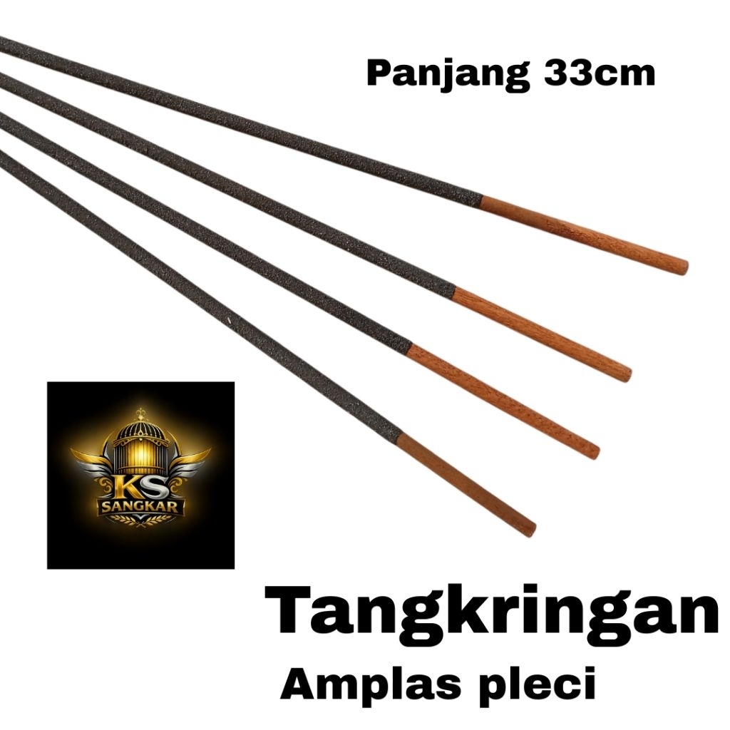 tangkringan amplas pleci kolibri tangkringan burung kecil tangkringan pasir