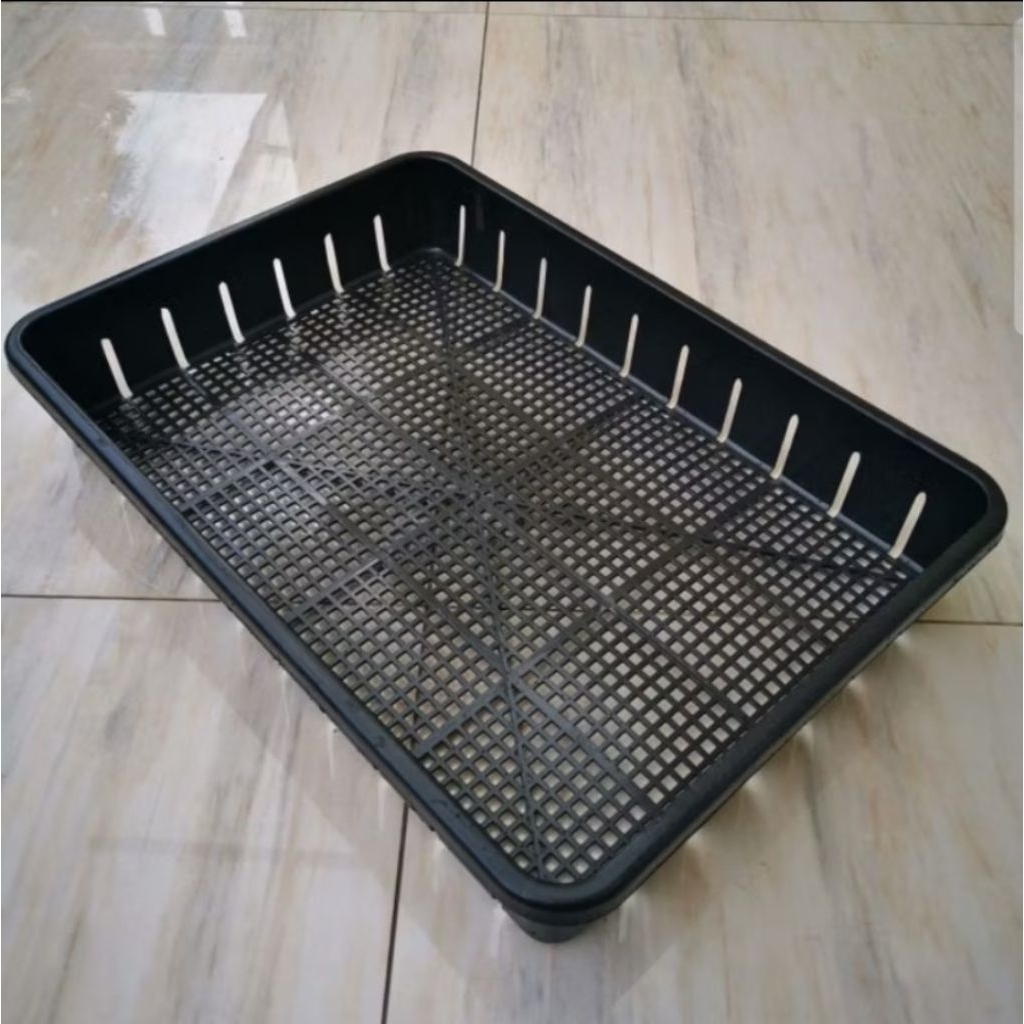Tray Pot Semai Bibit 50 cm / Tray Hidroponik untuk Semai Bibit