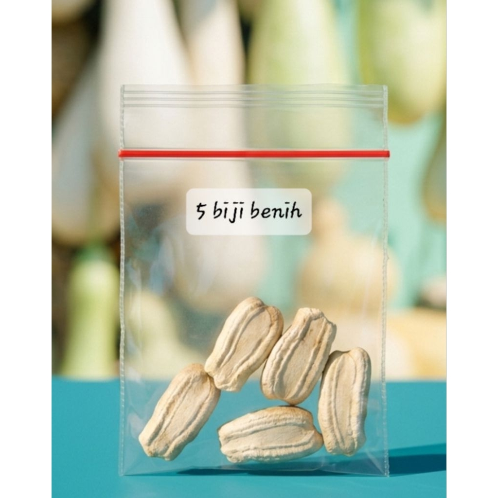 Labu putih panjang, Labu Air, Blonceng,Kukuk.