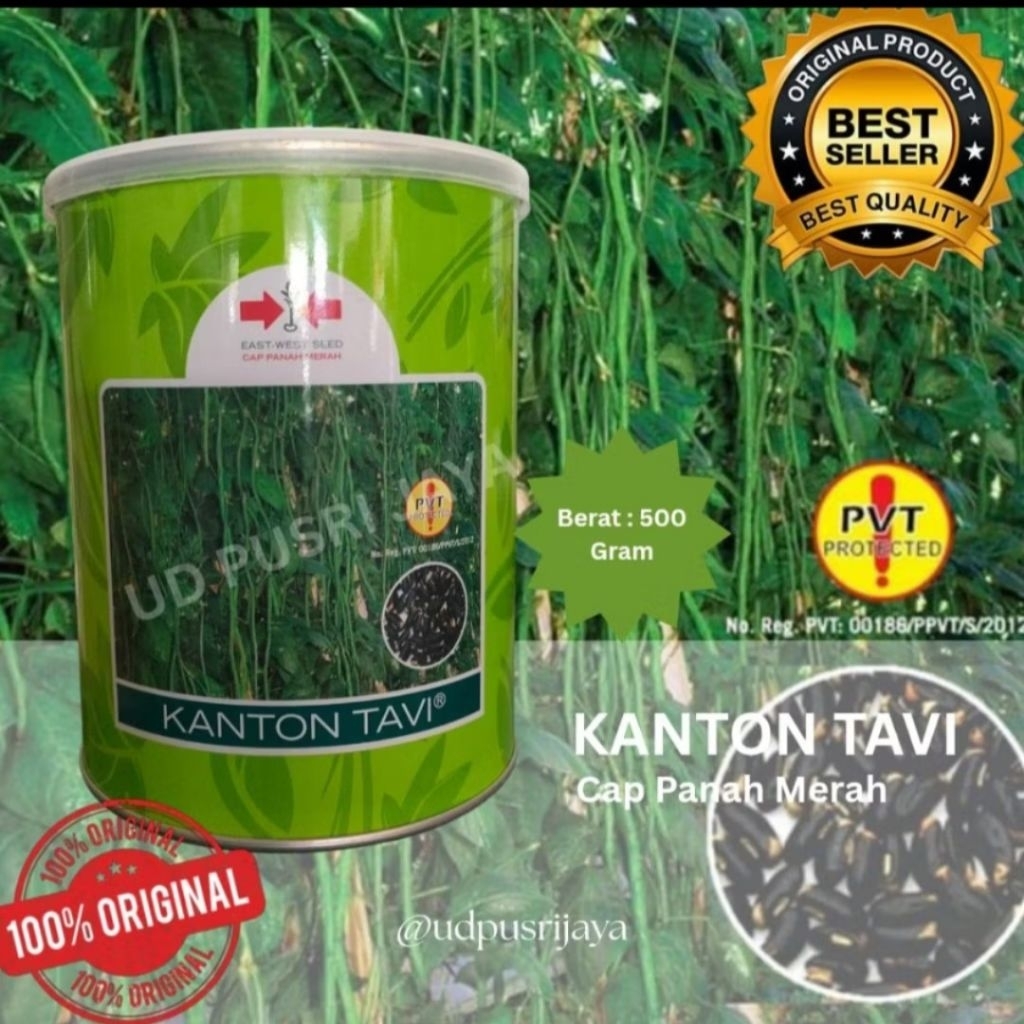 Benih Kacang Panjang KANTON TAVI 500Gr Cap Panah Merah