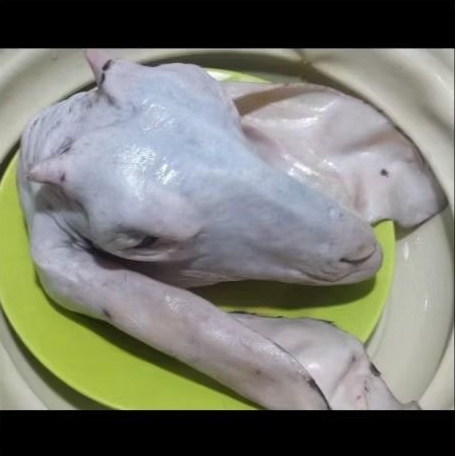 Kepala Kambing Utuh bersih (fresh frozen)