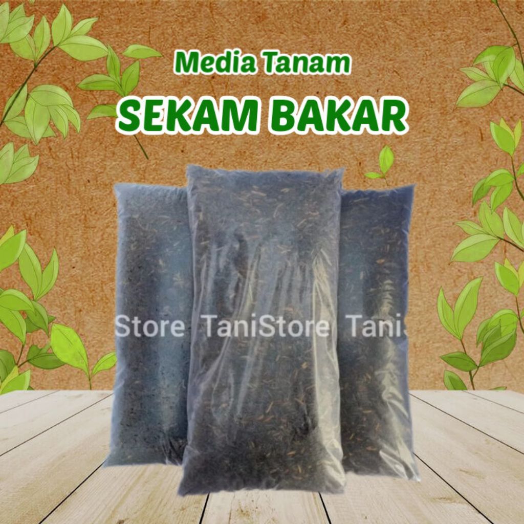 SEKAM BAKAR_Media Tanam Sekam Bakar