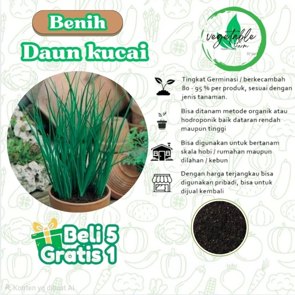 Benih Daun Kucai Bibit Kucai vegetable  Farm - Benih Sayuran