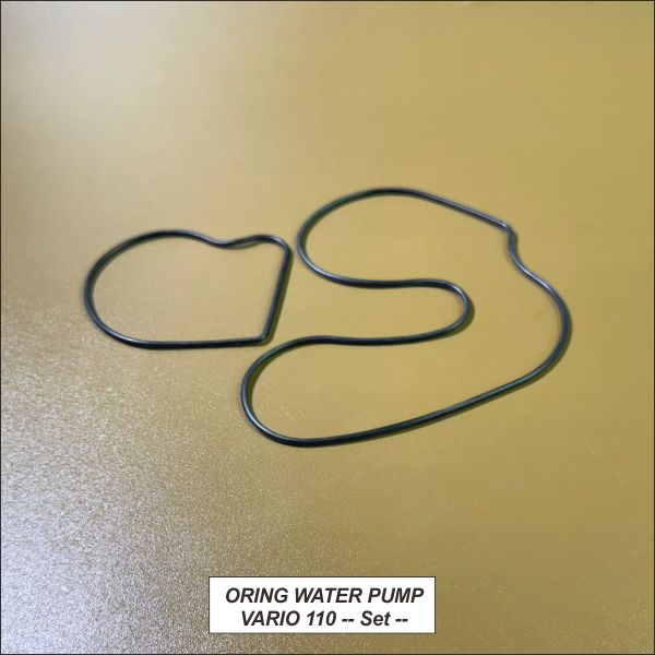 Oring Water Pump Vario 110  -- Set --
