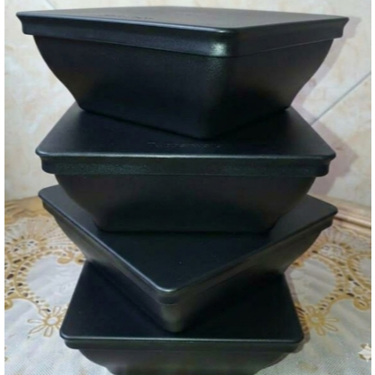 ICHIGO (WADAH SAJI TUPPERWARE ORI)