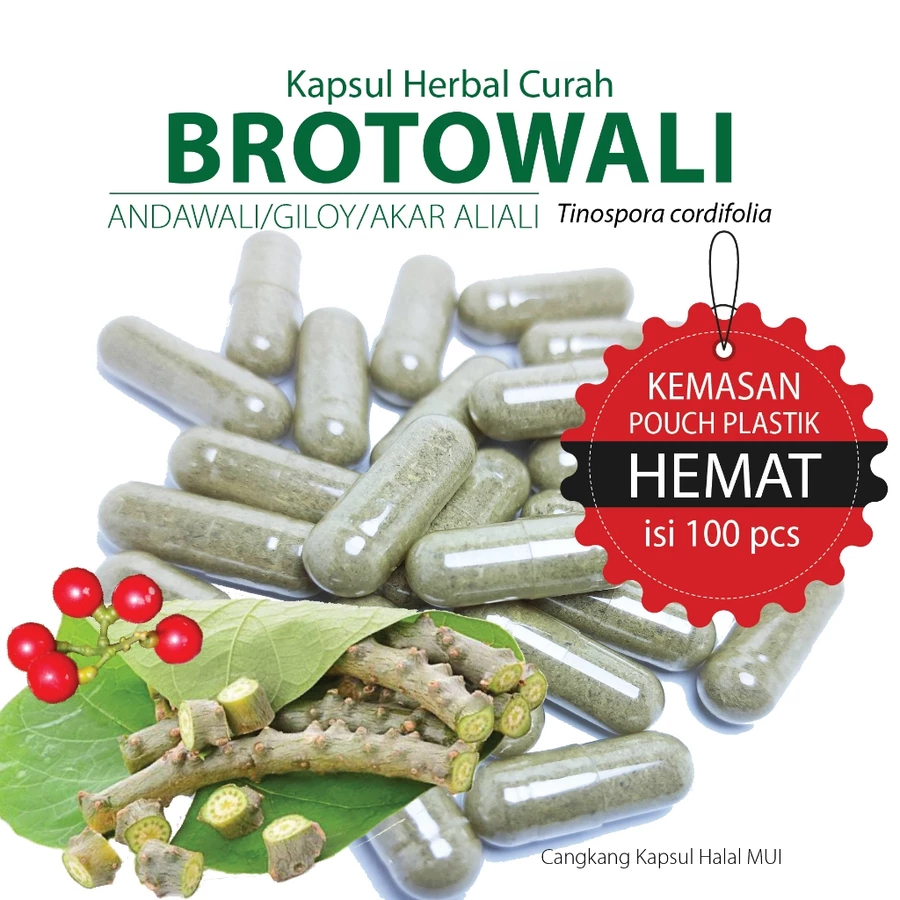 Brotowali Kapsul Obat Herbal Alami Diabetes Alergi Gatal Imun