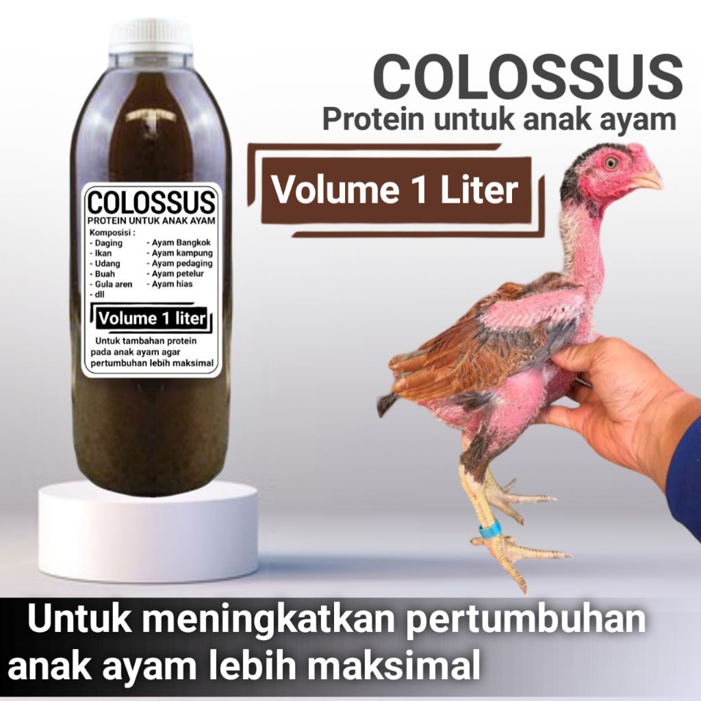 Vitamin ayam cepat besar Colossus