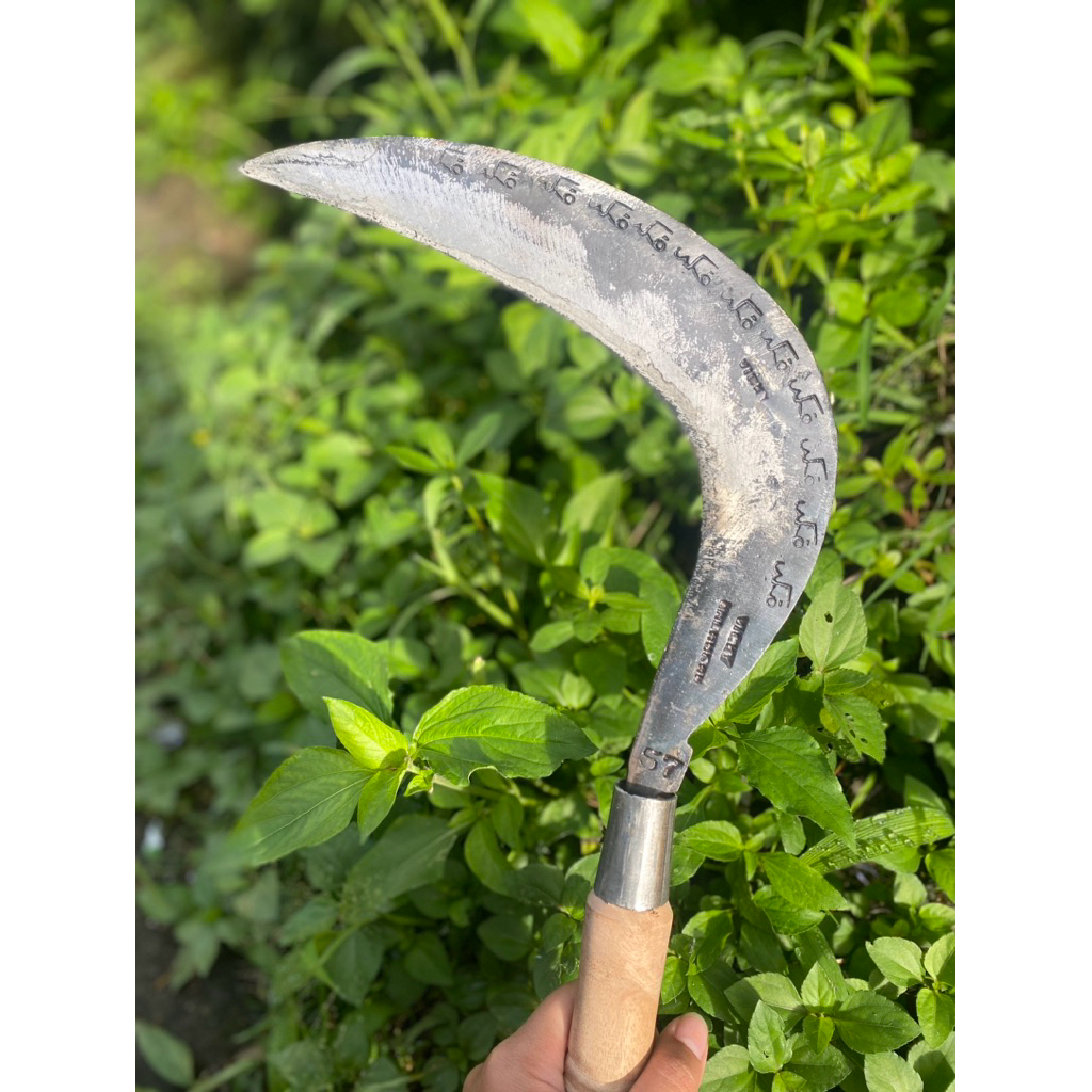 arit rumput dan padi baja isen selap cap arab wonosobo asli