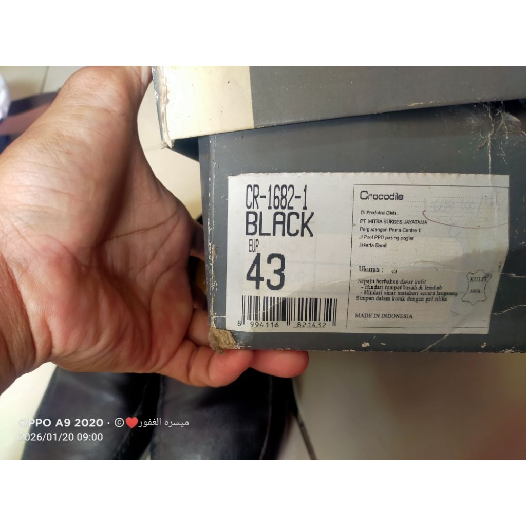 SEPATU CROCODILE