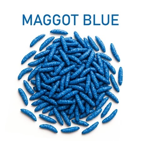MAGGOT BLUE PIGMENT BOOSTER IKAN CHANNA & IKAN PREDATOR