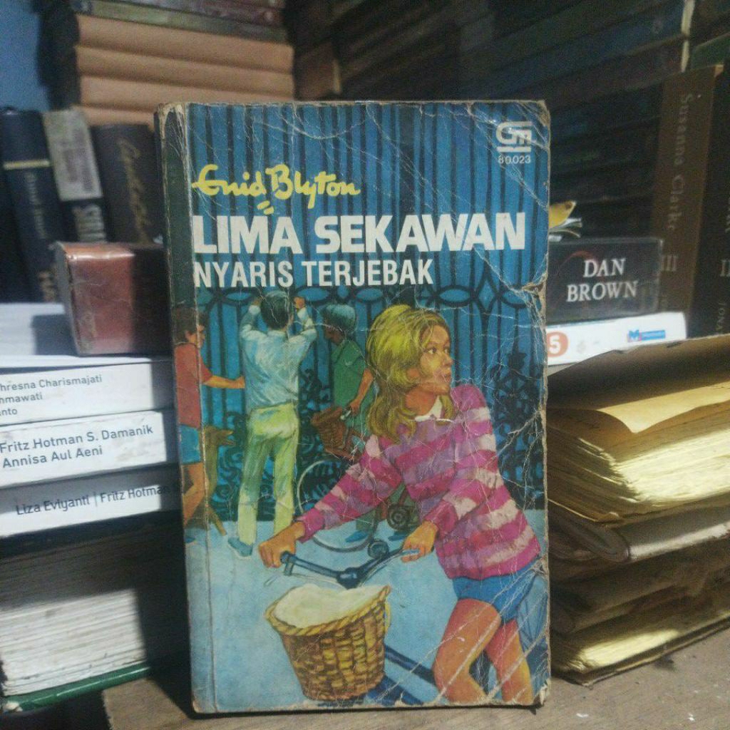 novel lima sekawan