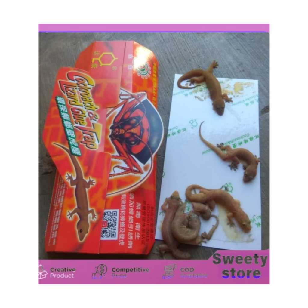 Lem Cicak Lem Kecoak Umpan Trap Serangga Pest Control Perangkap Cicak LEM PERANGKAP CICAK DAN KECOAK