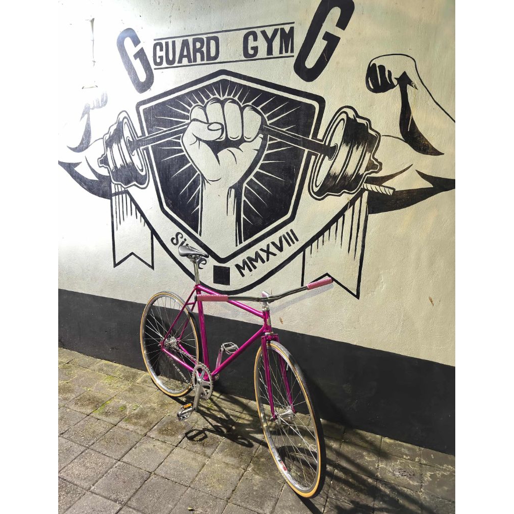 Sepeda Fixie Fixed Gear 700c