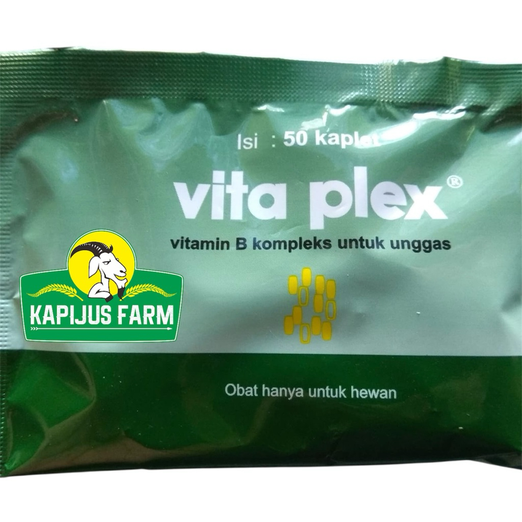 Vita plex vitamin B kompleks untuk ayam dan unggas lainnya