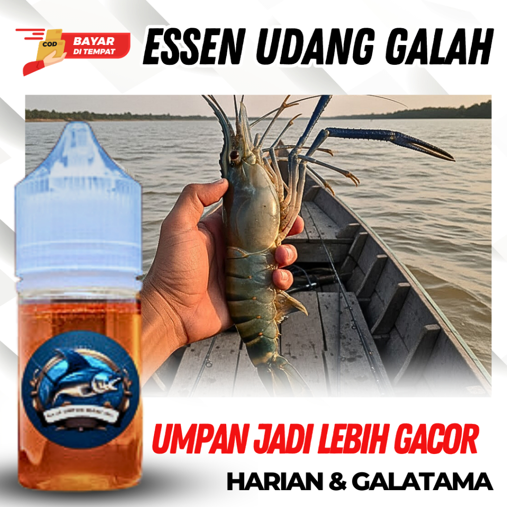Essen Mancing Lobster Dan Udang Galah Liar Air Tawar Sungai Danau
