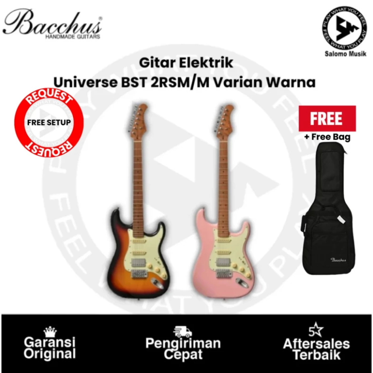 Gitar Elektrik Bacchus BST 2RSM/M Roasted Mapple Series Original