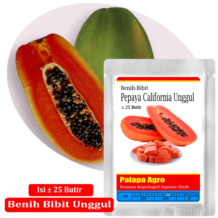Bibit Benih Pepaya Calina Unggul Isi ±25 Butir - Bibit Pepaya Calina IPB 9 Unggul