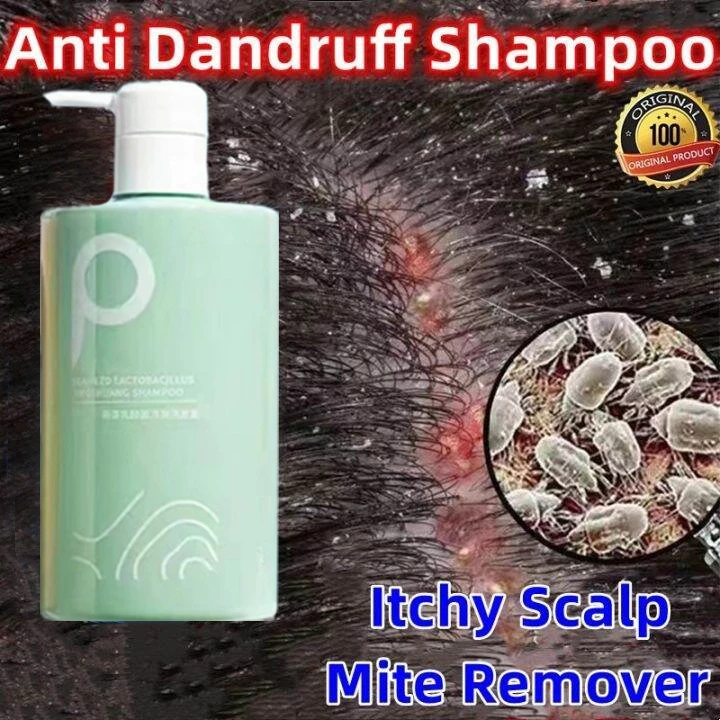 sampo salon sampo rambut sampo semir rambut sampo ketombe ampuh sampo anti ketombe dan rontok