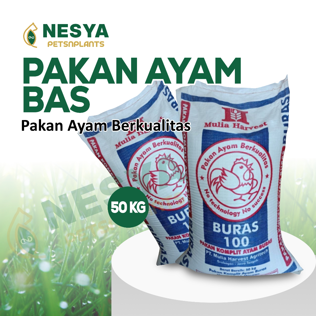 Pakan Ayam BAS KEMASAN KARUNG/ZAK 50KG Pakan Komplit Ayam Buras Berkualitas Kemasan 50KG