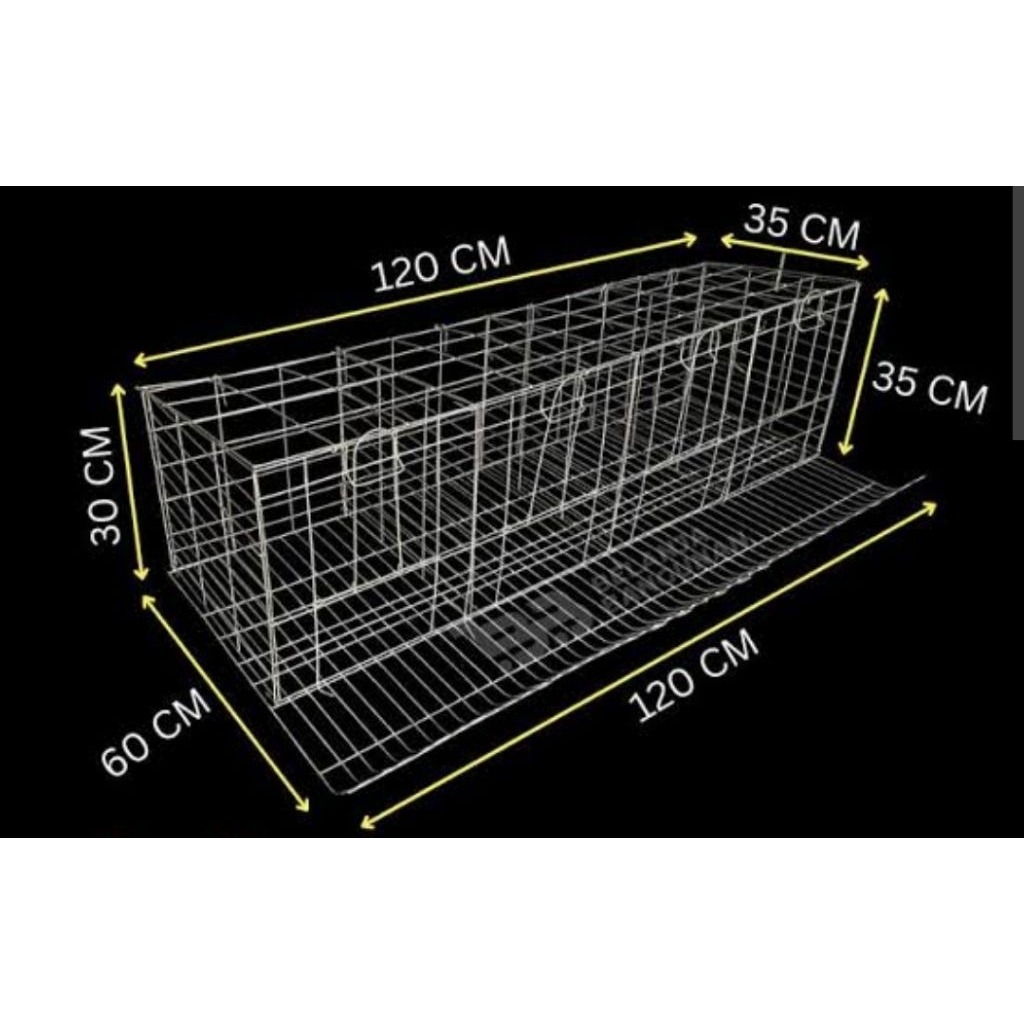 KANDANG AYAM PETELUR PINTU 4