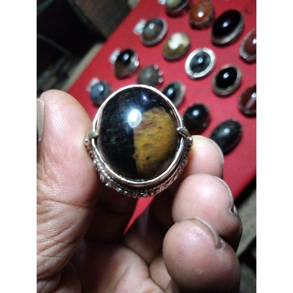 batu akik  posil kelor