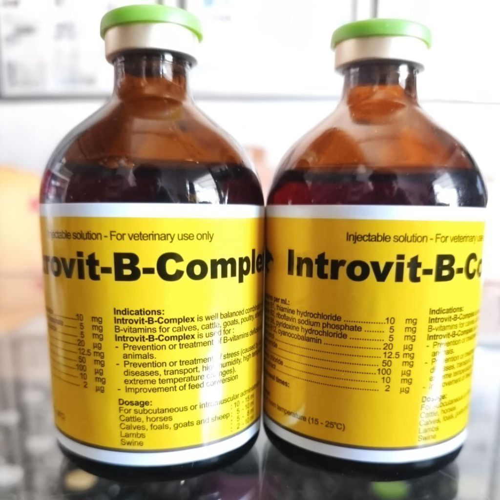 Harga Introvit-B-Complex Terbaru Mei 2026 | BigGo Indonesia