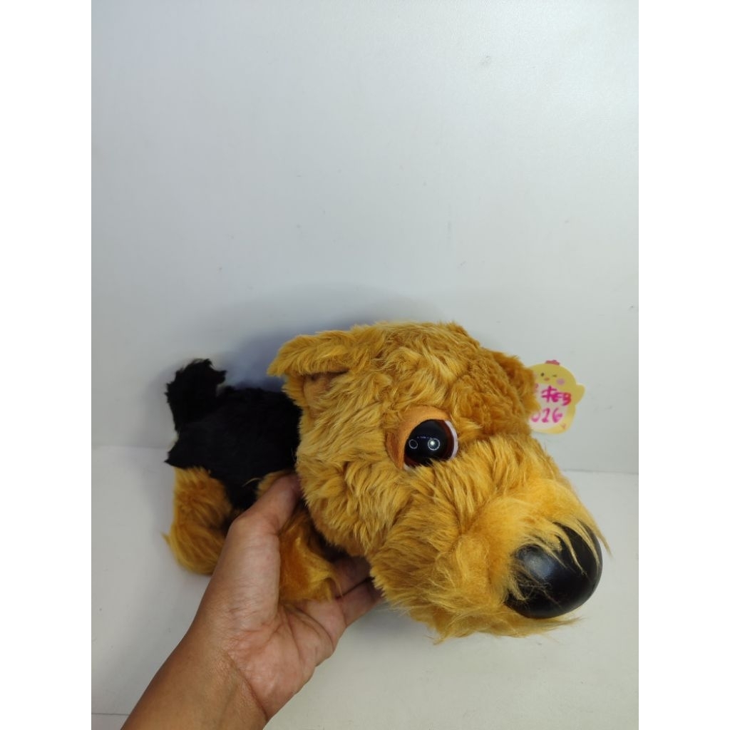 boneka the dog boneka anjing lakeland Terrier