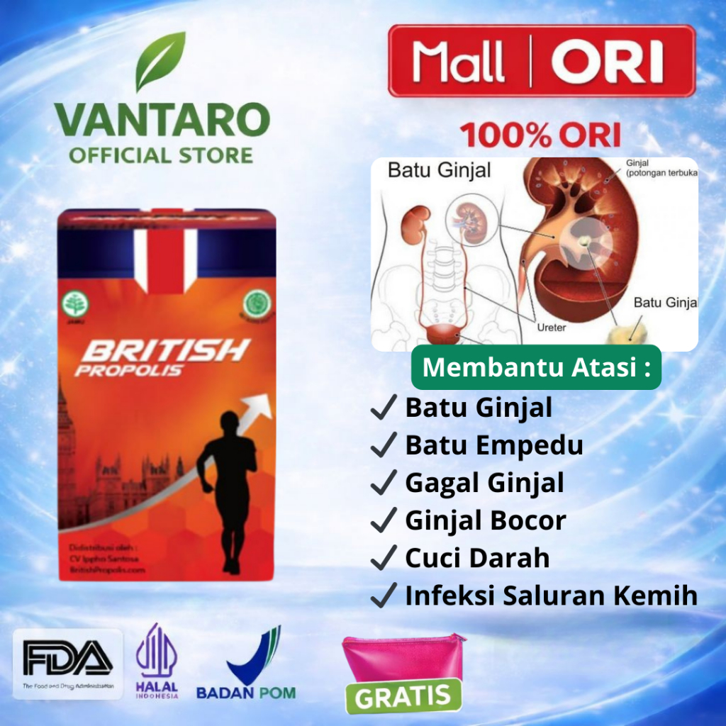 British Propolis Original Suplemen Herbal Penghancur Batu Ginjal Empedu