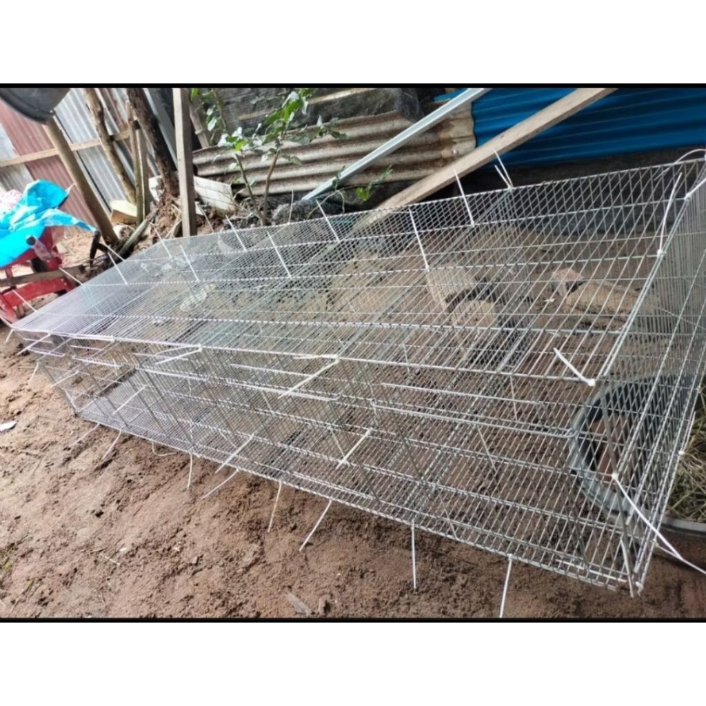 Kandang Kelinci Kandang Galvanis