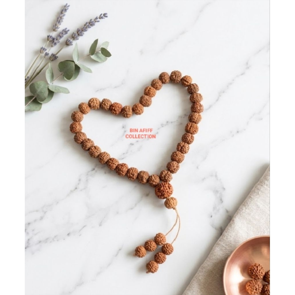Tasbih 33 Butir Jenitri ( Rudraksha ) Original | Ukuran Besar 12 mm