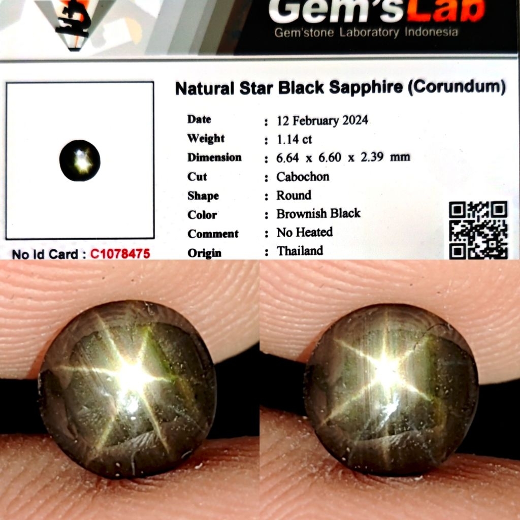 Natural Star Black Sapphire No Heated Bangsing Fenomena Star 12 Inden 1.14ct GLI Star Main Kenceng B