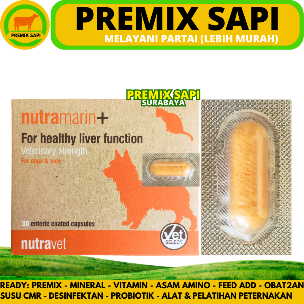 NUTRAMARIN PLUS 1 KAPSUL - Obat Gangguan Liver Kucing Anjing Dukung Fungsi Hati Maksimal Lik Samylin