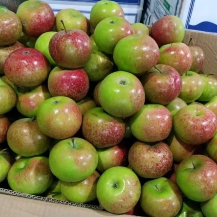 Apel malang segar 1kg