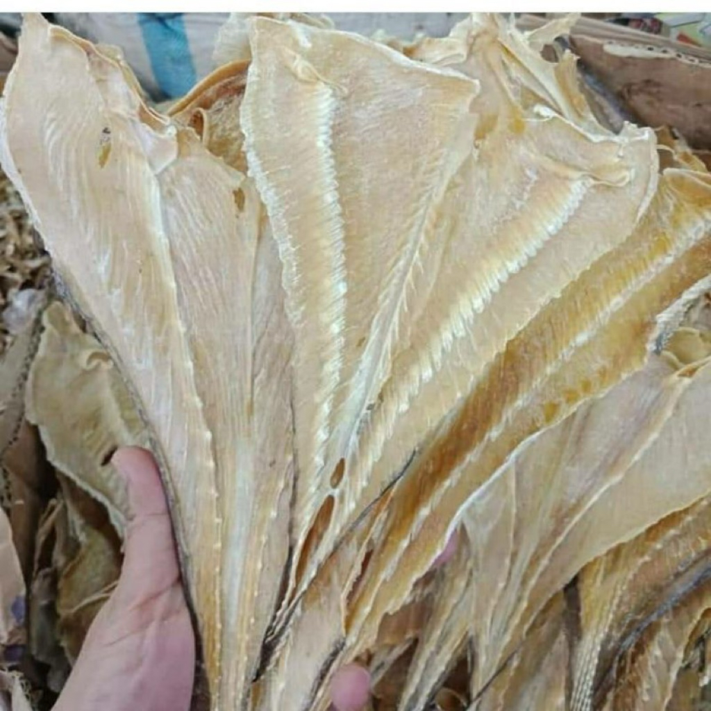 IKAN ASIN PARI MEDAN VAKUM PREMIUM