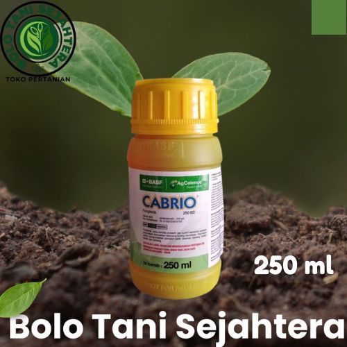 Fungisida Cabrio 250 EC 250ml BASF - Obat Jamur & ZPT Tanaman (Bahan Aktif Piraklostrobin)