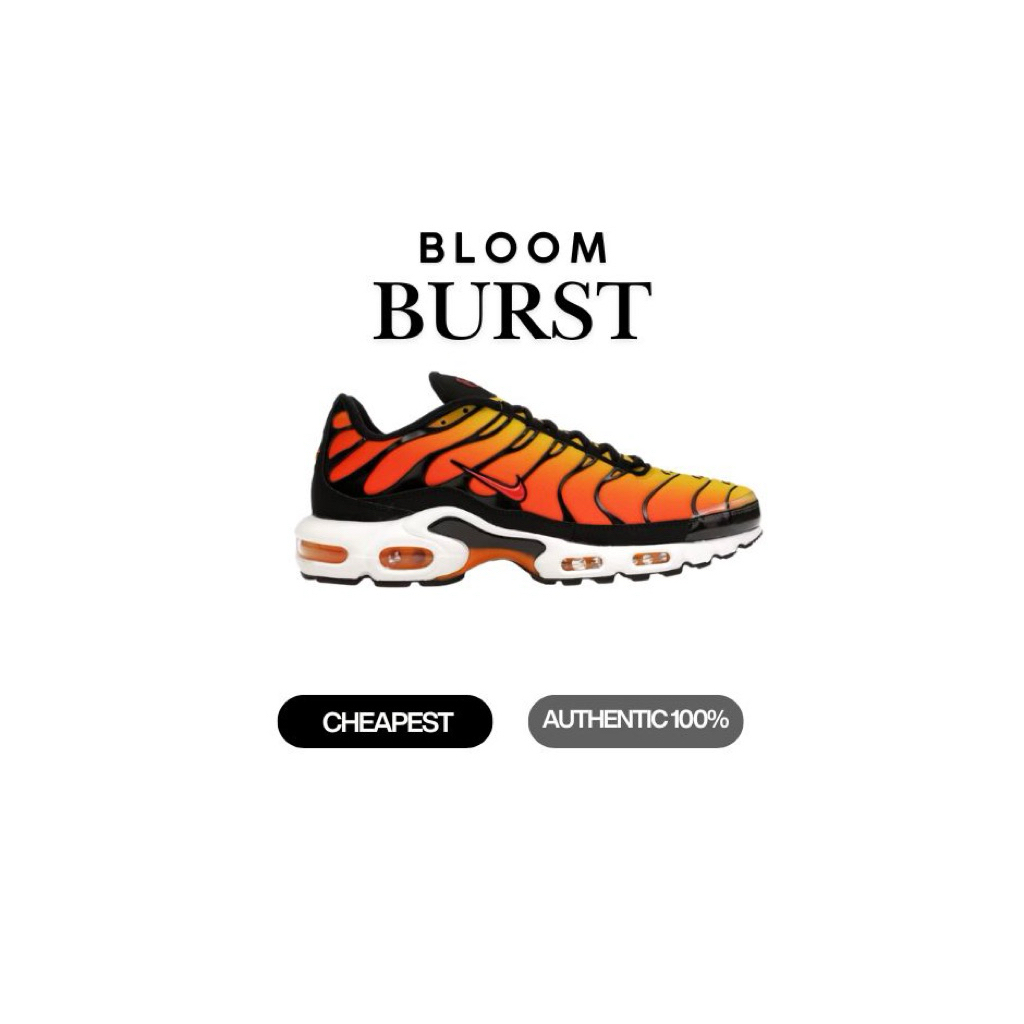 Nike Air Max Plus TN Sunset