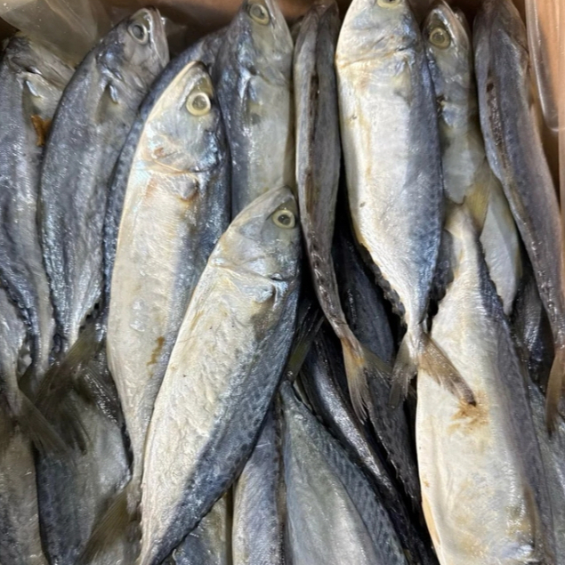 Ikan Asin Peda Putih 250gr Ikan Pepes Putih ikan asin peda putih ikan asin peda putih