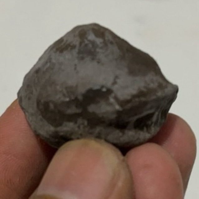 MUNCANG KEMIRI ADU JALIM AN BINTANG