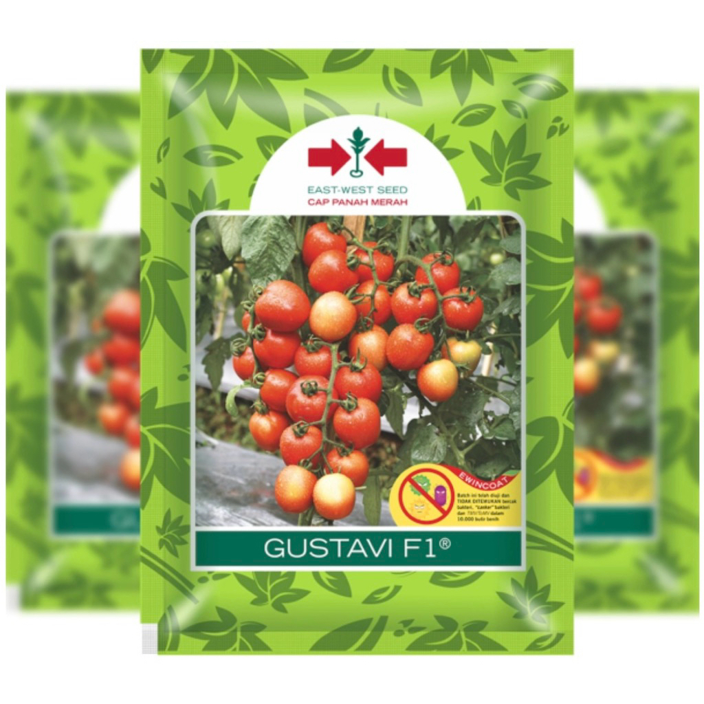 Benih Tomat GUSTAVI F1 Cap Panah Merah