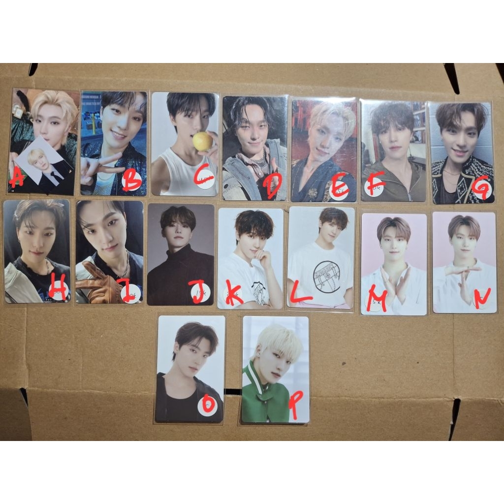 SEVENTEEN PHOTOCARD DINO