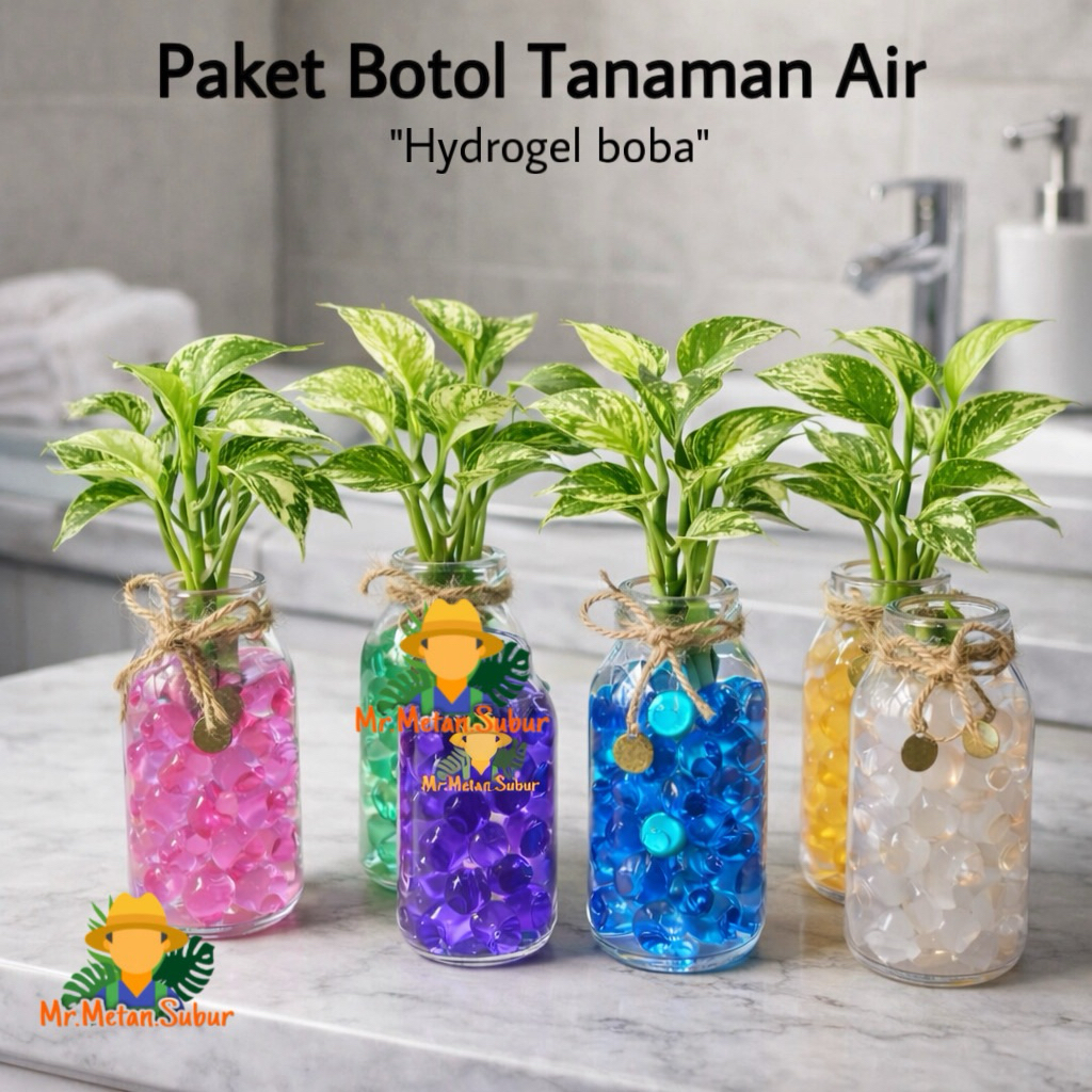 Paket Botol Tanaman Air Hydrogel Warna Warni Botol Kaca 100 ml Tanaman Hias Meja
