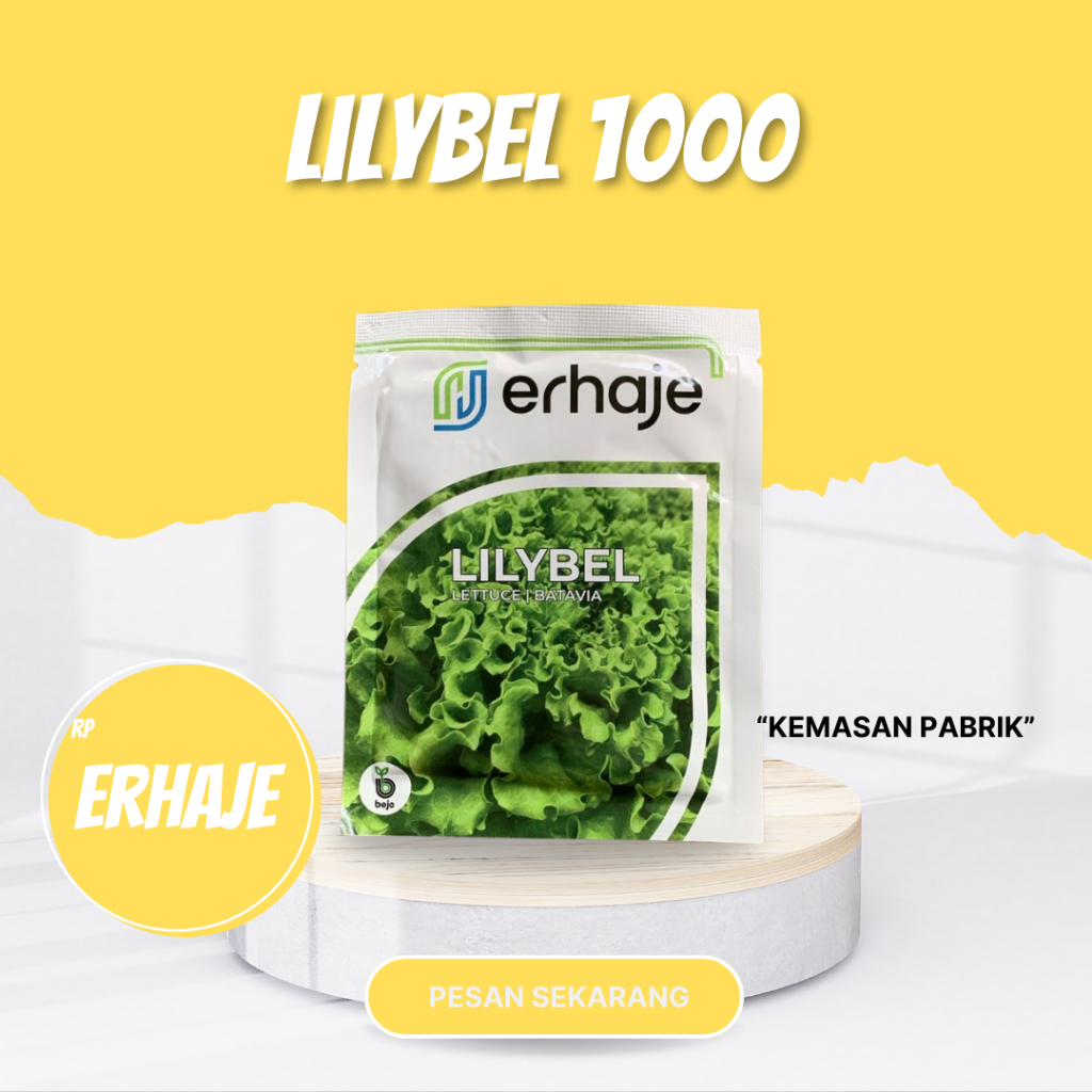 Lilybel benih selada batavia 1000 pills erhaje