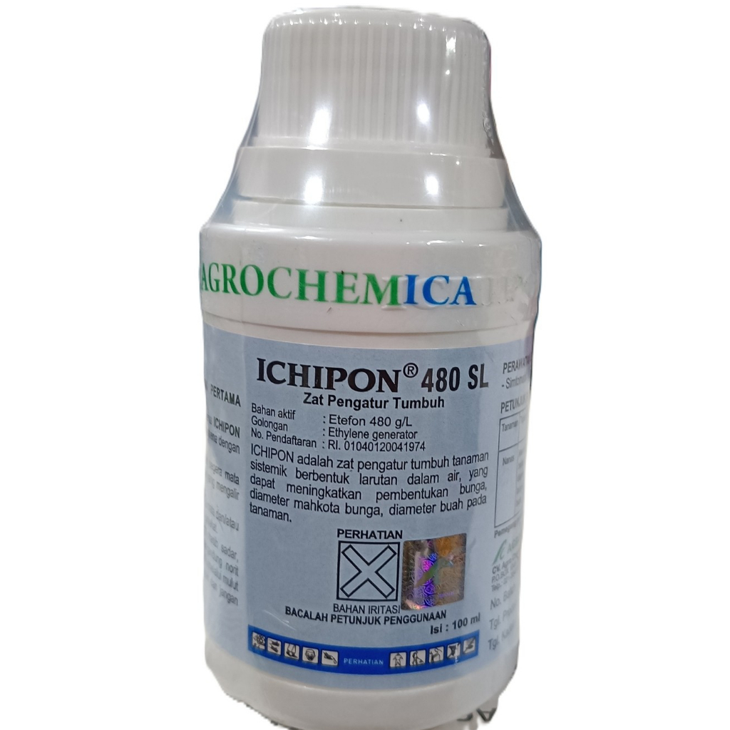 [ JUWANA PF ] ICHIPON 480SL 100ml ZPT Perangsang & Pematang Buah | Pemasak Pisang Mangga Alpukat | B